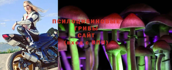 mdpv Баксан