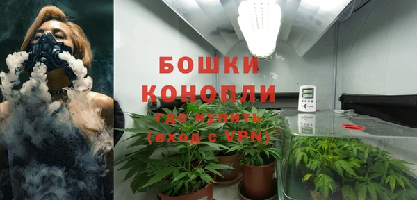 крисы Балахна