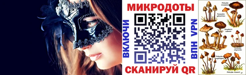 Псилоцибиновые грибы мицелий Североморск